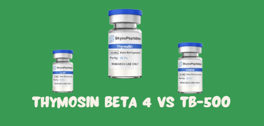 thymosin beta 4 vs TB-500